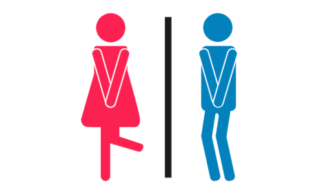 Toilet Simulator scripts