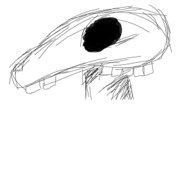 scp