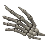 Skeleton Hand Face Grip