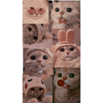 ᴀsʜ's ᴀɴɢᴇʟs