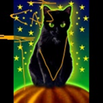 the cats tv club