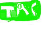Teds reptile club