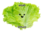 ⦉ Lettuce Group ⦊