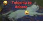 zapraszam24