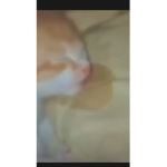 Wake up filthy!