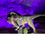 Yeetmemes_lol hang out