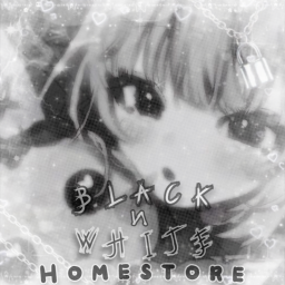 blacknwhite homestore V2