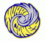 Jacksonville Hurricanes