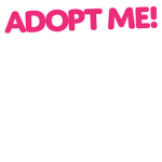 Adopt me Custom Pets Store!