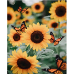 •Sunflower.Hangout•
