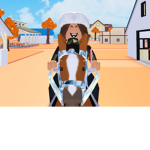 Star rain stable’s