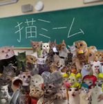 猫ミームグループ!!!