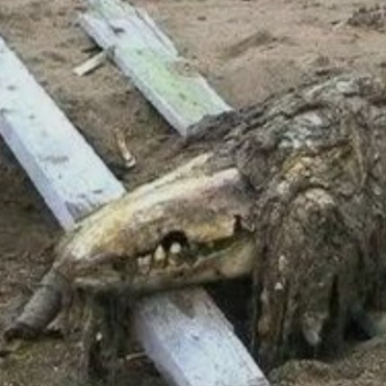 SCP 682 [Demonstration] "Beta Edition"