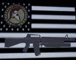 Vastankovian National Forces (V.N.F)