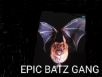 Epic Batz Gang!