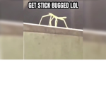 Get stick bugged United