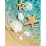 Preppy seashells
