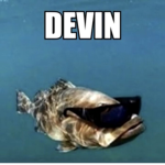 The Bureaucratic Religious Organization of Devin