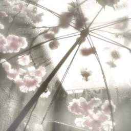 ˖   ✦  𝘪