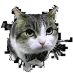 JPEG Artifact Wawa