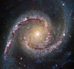 Gravitational Management