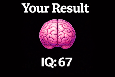 🧠Are You Dumb?