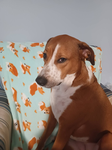Dogie core group