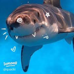 Sharkys ofc