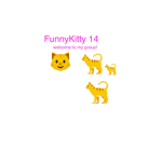 FunnyKitty 14