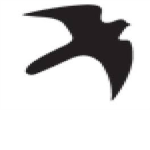 ™Just Dat Ill Clothing Co.™