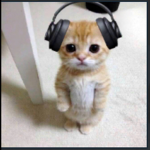 Enan gamer fans