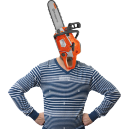 chainsawman but quite disastrous