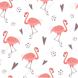 ! flamingos