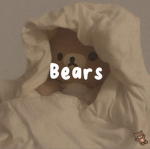 ~ Soft Bears ~