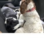 Megan and sky