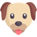 Puppy UGC