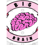 Big Big Brain Group