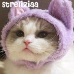Streliziaa