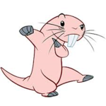 Rufus Mafia