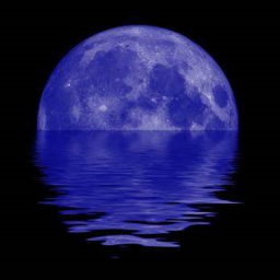 Light Blue Moon Hangout