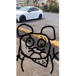 Teddyys