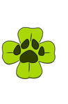 Clover Clan567