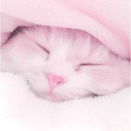 ♡
