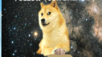 Hi ihr Hunde Fans