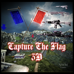 Capture The Flag In The Island