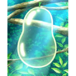 Pokemon Trading Card Game Collecter's Club