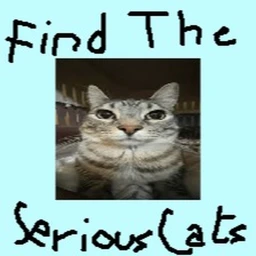 Find The Serious Cats icon