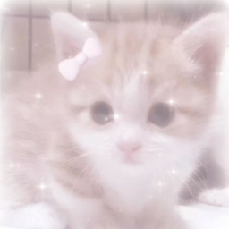 ฅ^•ﻌ•^ฅ
