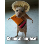 TOBI3221 :v