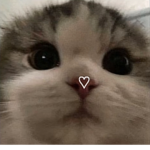 ZainabxMinne